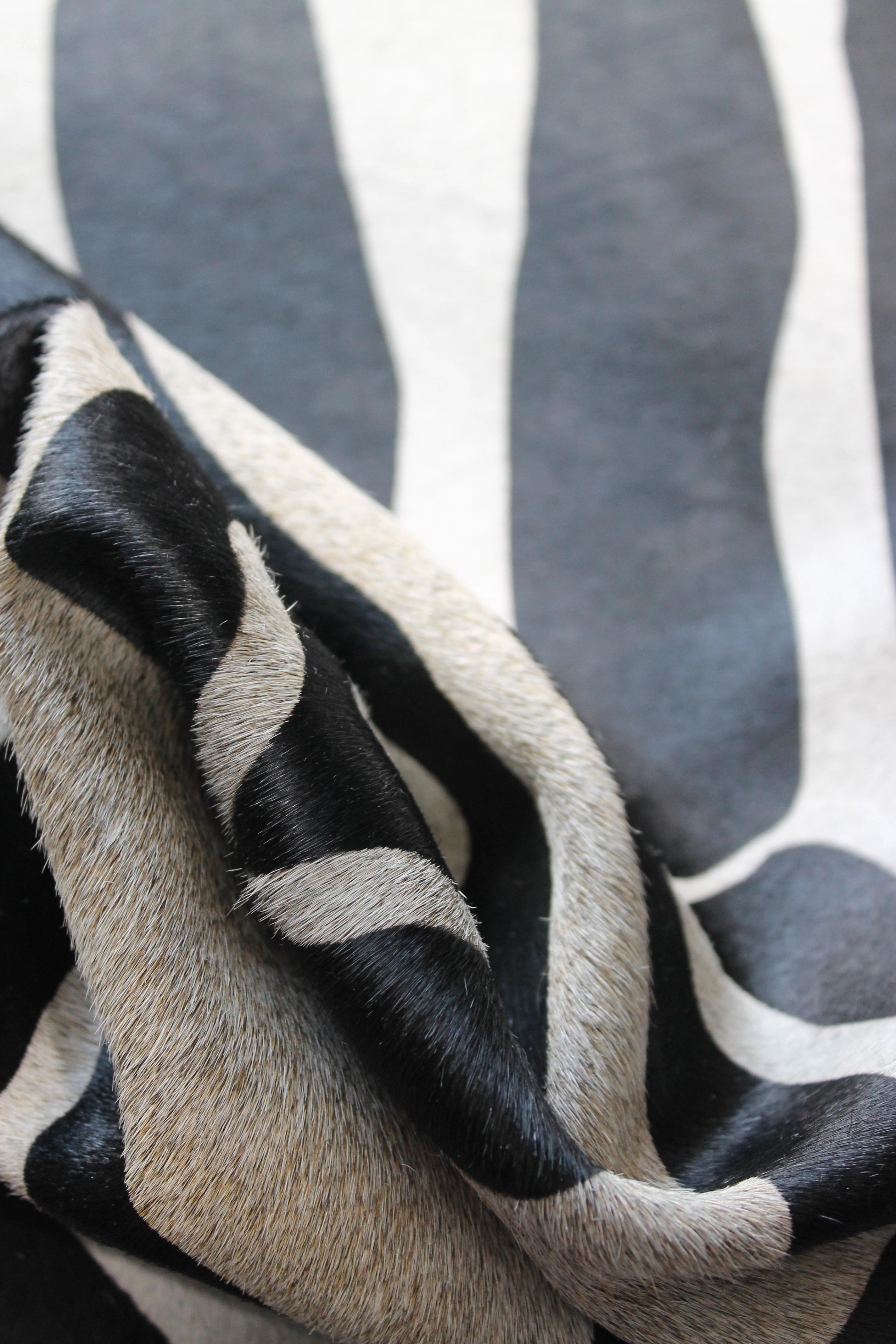 Zebra Desen Holstein Dana Postu