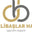 Delibaşlar Halı logo
